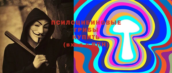 мет Дмитров