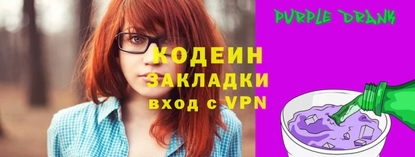 тгк Дмитриев