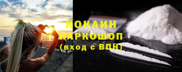 тгк Дмитриев