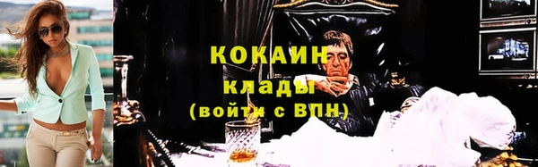 тгк Дмитриев