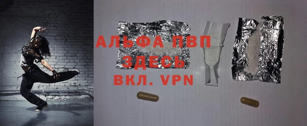тгк Дмитриев