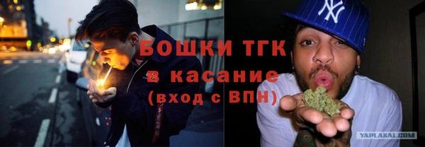 мет Дмитров