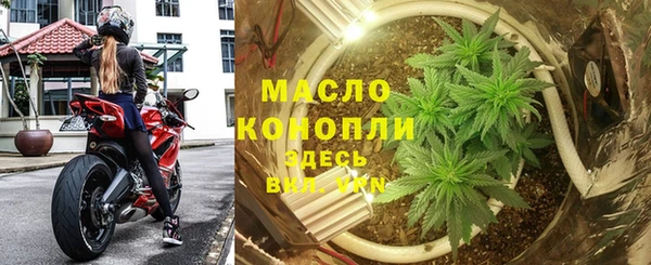 мет Дмитров