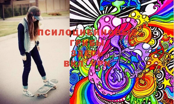 тгк Дмитриев