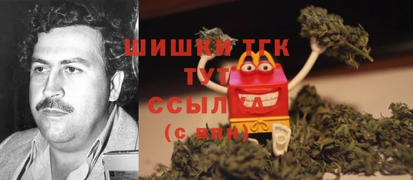 тгк Дмитриев