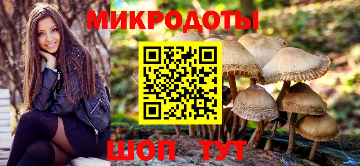 Псилоцибиновые грибы мицелий  Вход с VPN  Елец 